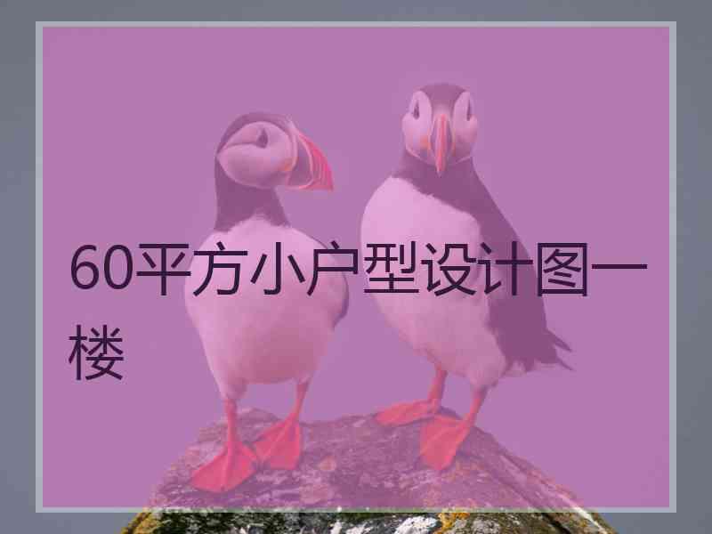 60平方小户型设计图一楼