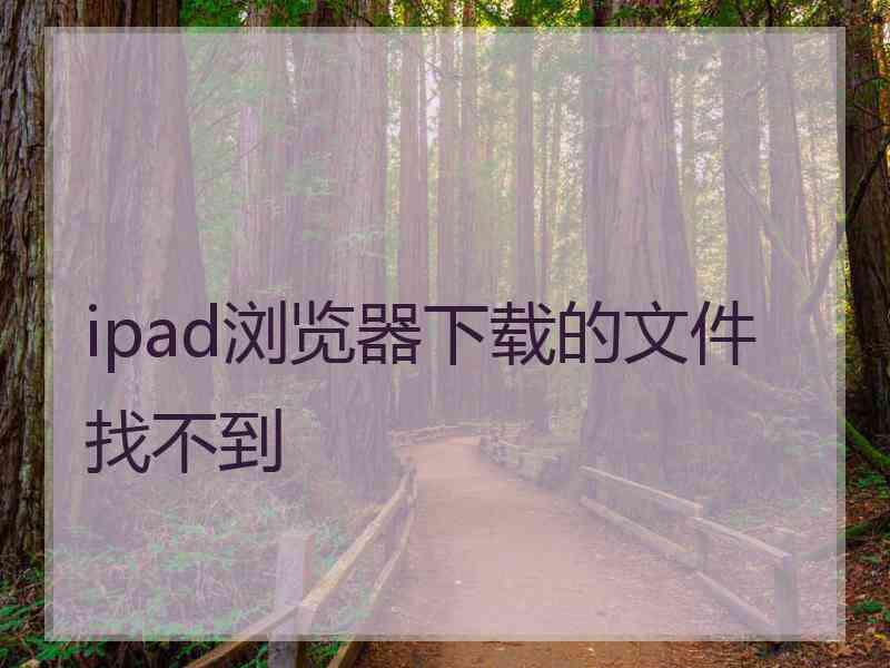 ipad浏览器下载的文件找不到