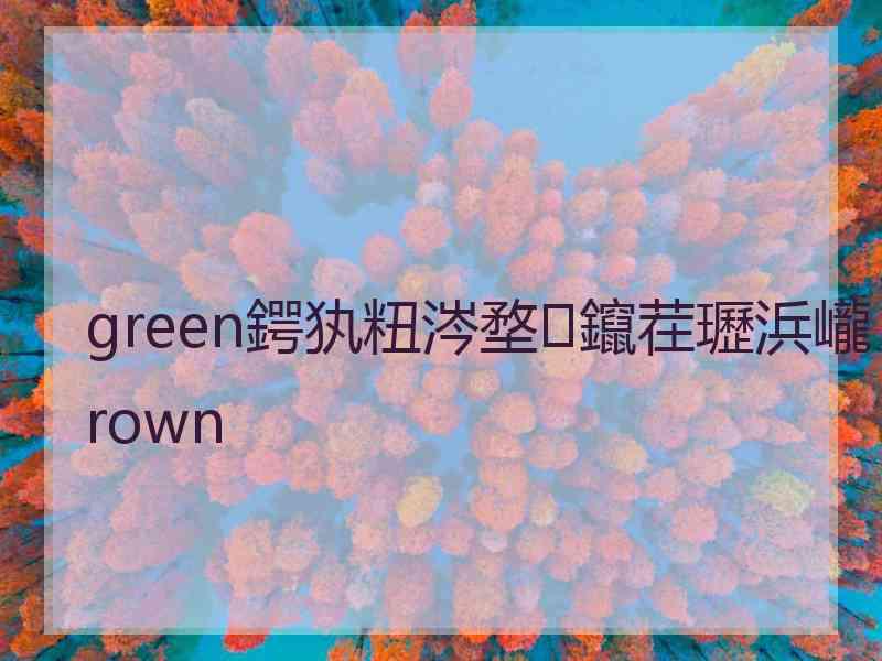 green鍔犱粈涔堥鑹茬瓑浜巄rown