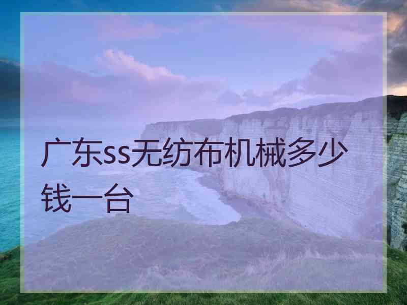 广东ss无纺布机械多少钱一台