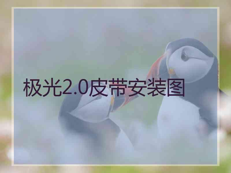 极光2.0皮带安装图