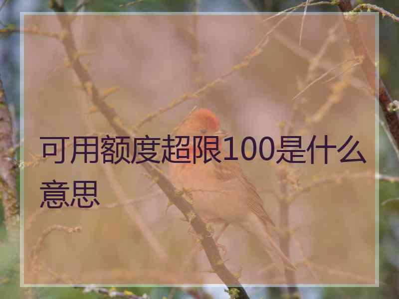 可用额度超限100是什么意思