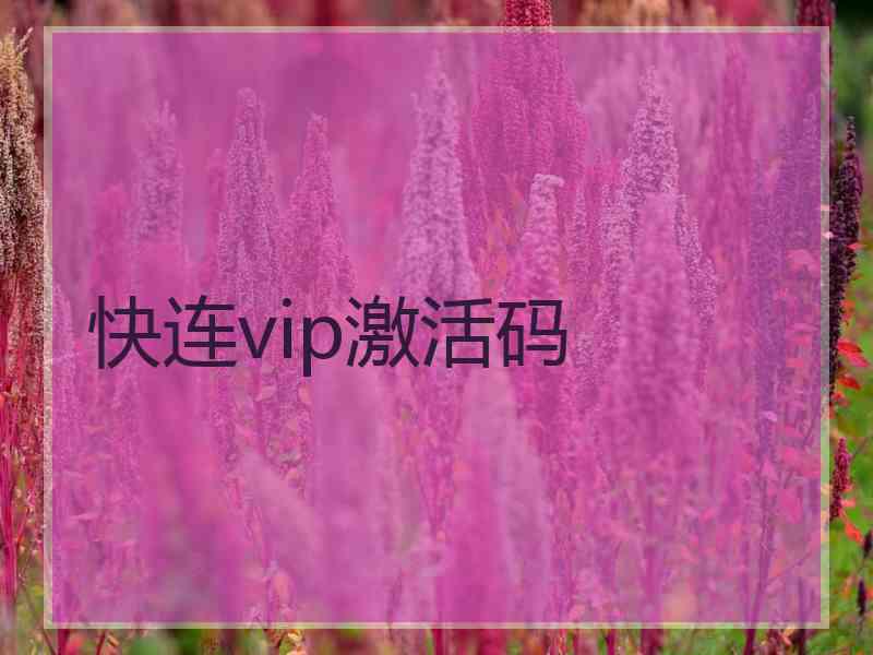 快连vip激活码