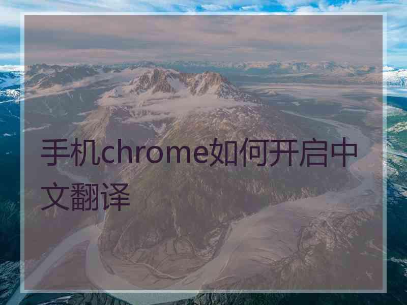 手机chrome如何开启中文翻译