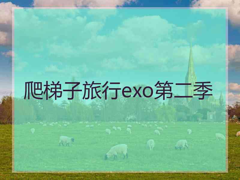 爬梯子旅行exo第二季