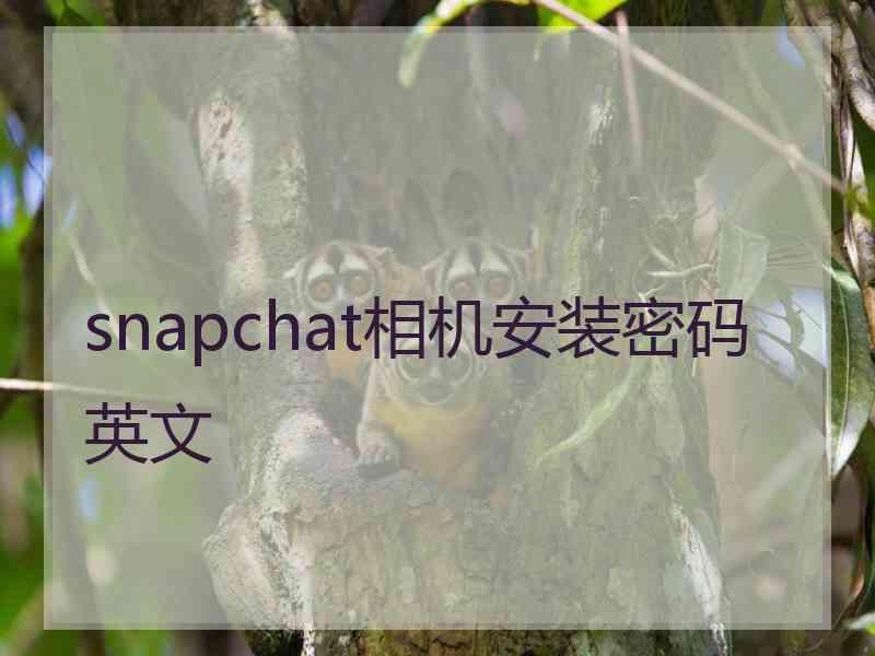 snapchat相机安装密码英文