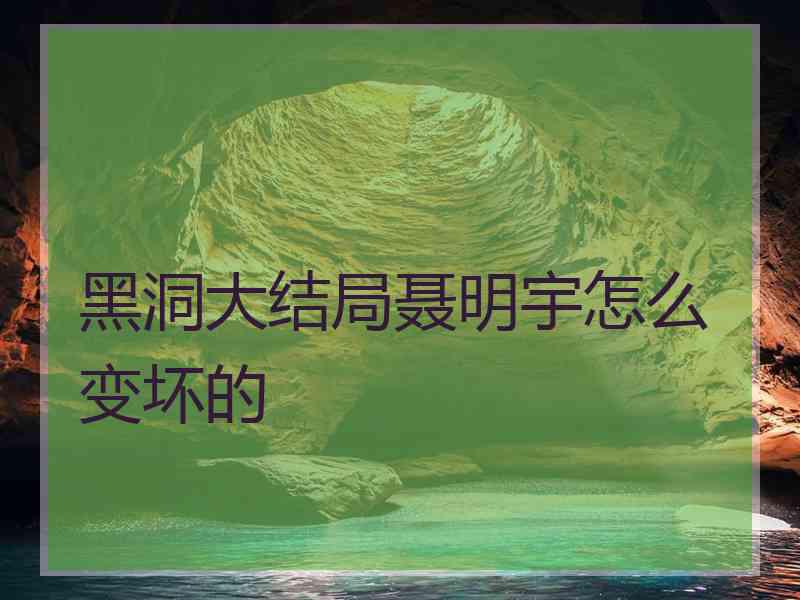 黑洞大结局聂明宇怎么变坏的