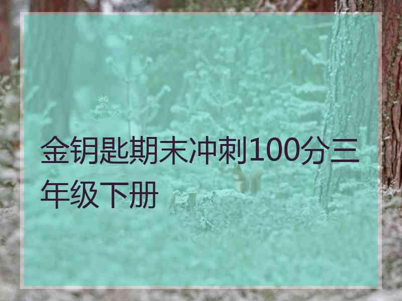 金钥匙期末冲刺100分三年级下册