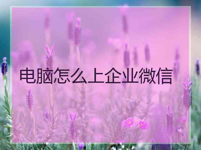 电脑怎么上企业微信