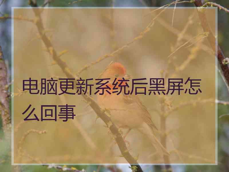 电脑更新系统后黑屏怎么回事