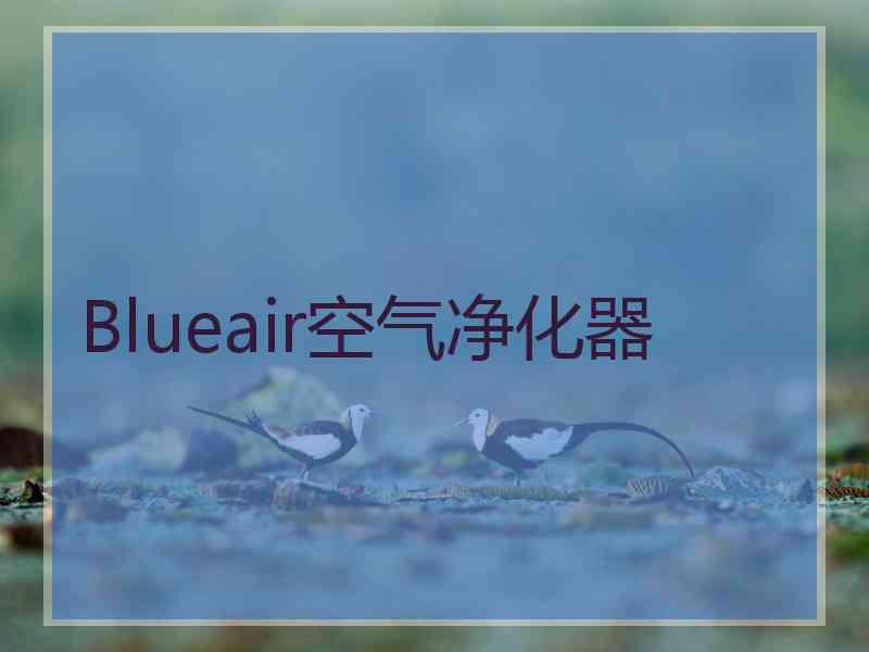 Blueair空气净化器