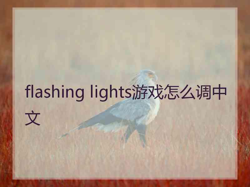 flashing lights游戏怎么调中文