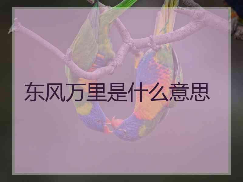 东风万里是什么意思