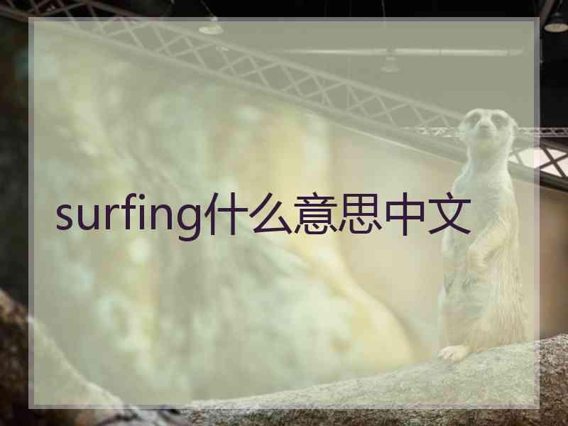 surfing什么意思中文