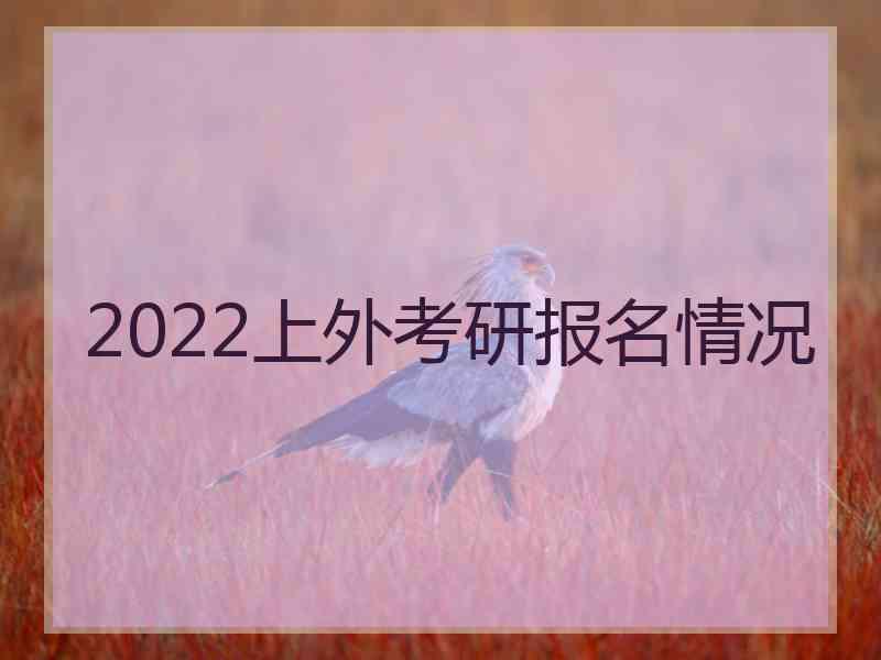 2022上外考研报名情况