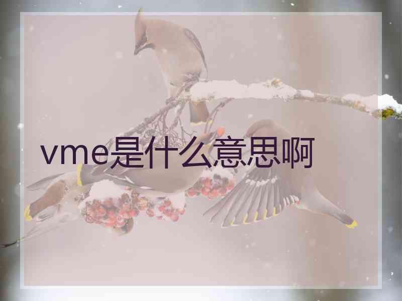 vme是什么意思啊