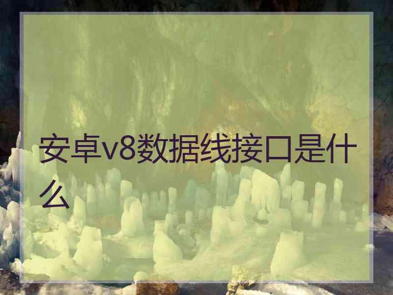 安卓v8数据线接口是什么