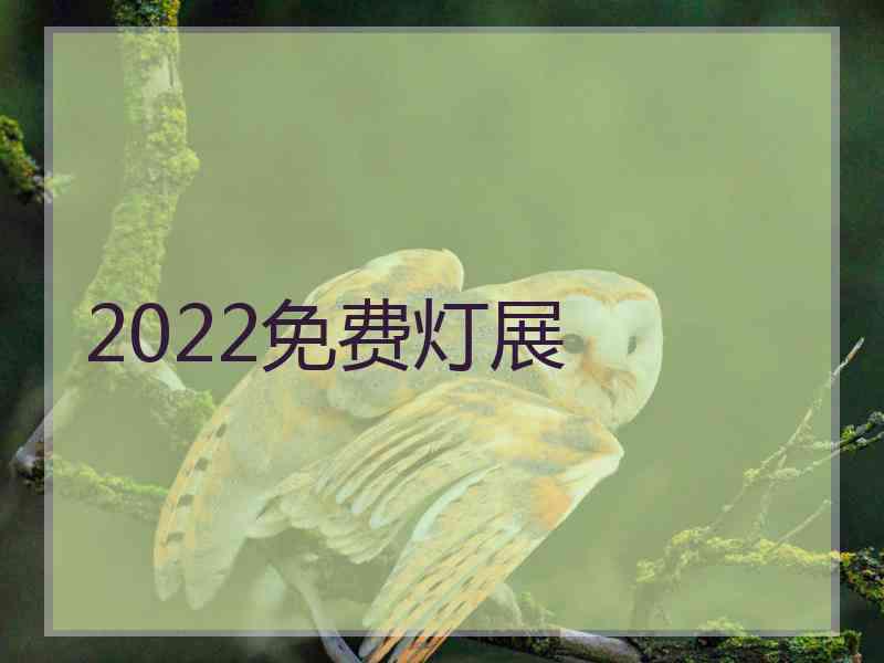 2022免费灯展