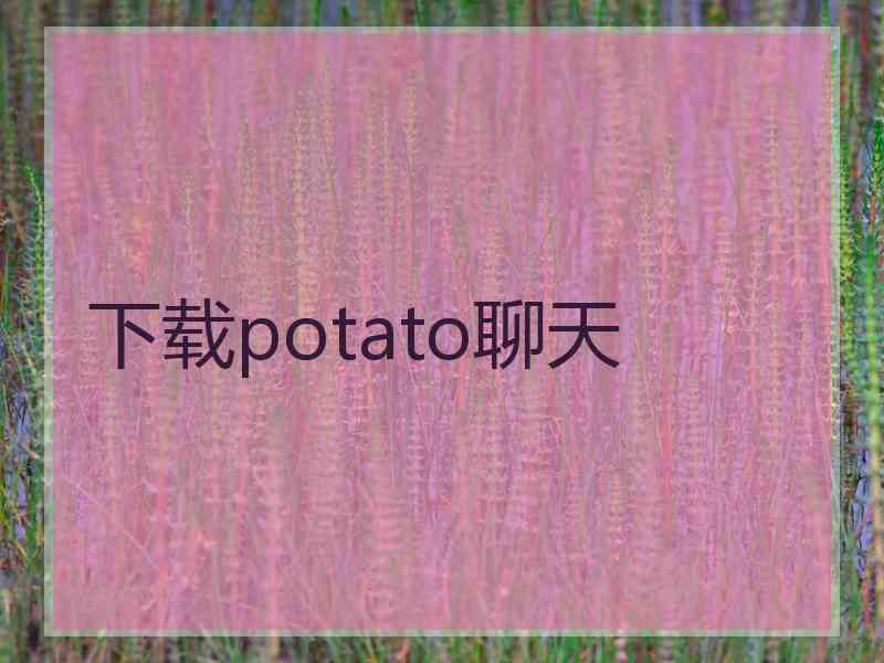 下载potato聊天