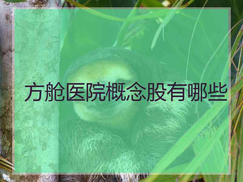 方舱医院概念股有哪些