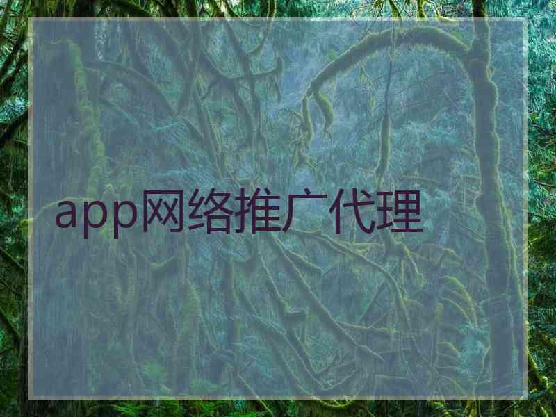 app网络推广代理