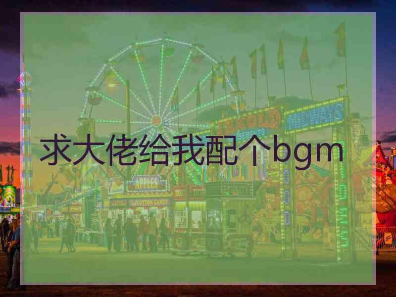 求大佬给我配个bgm