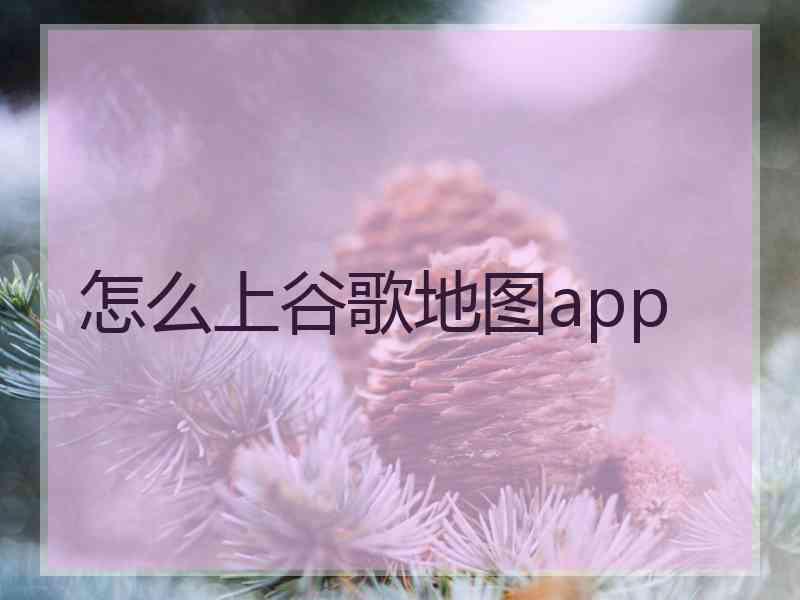 怎么上谷歌地图app