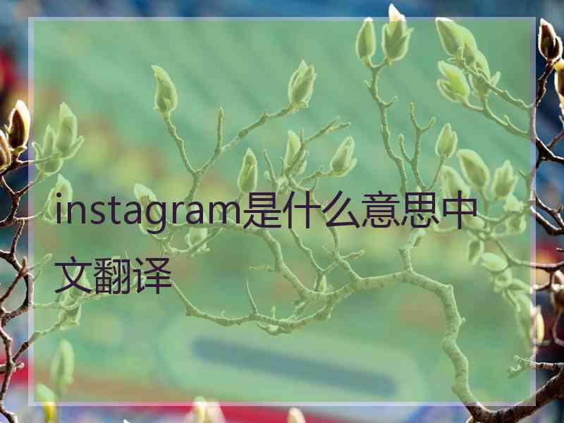 instagram是什么意思中文翻译