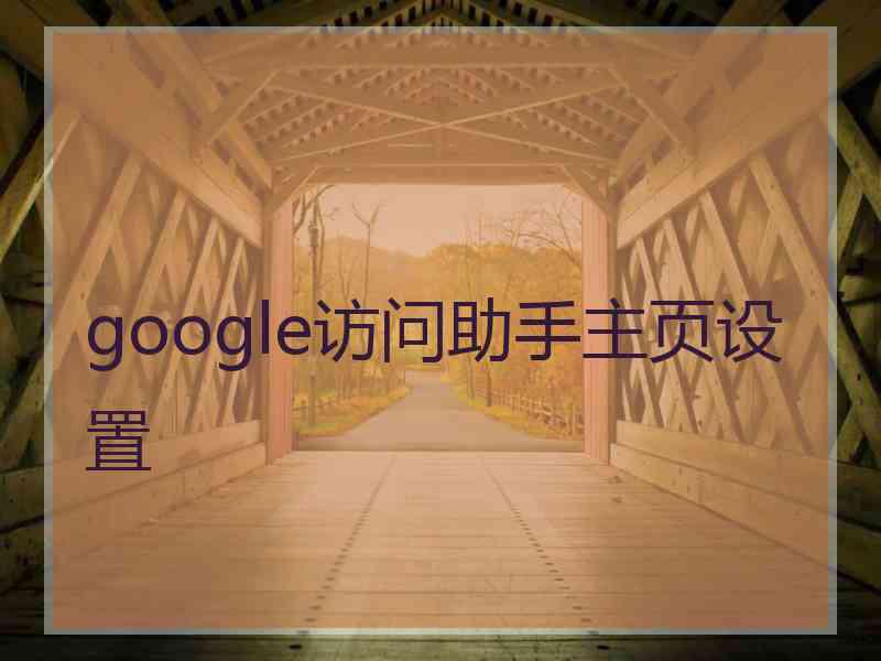 google访问助手主页设置