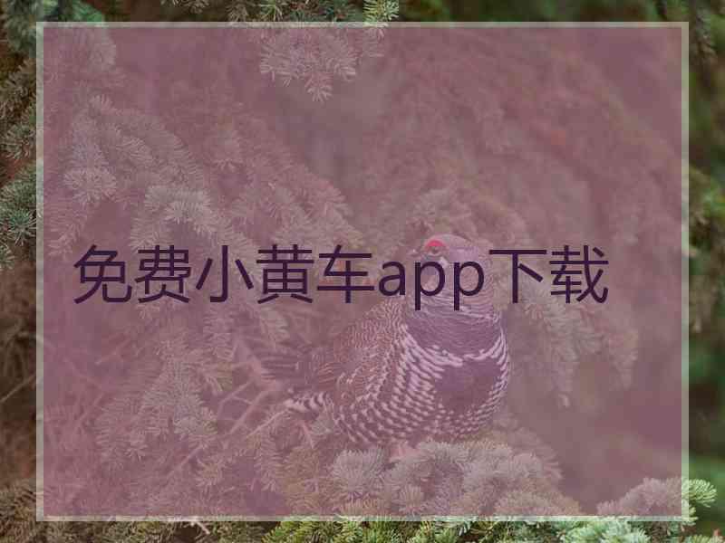 免费小黄车app下载