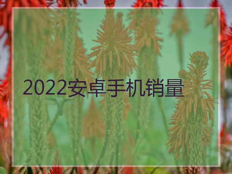 2022安卓手机销量