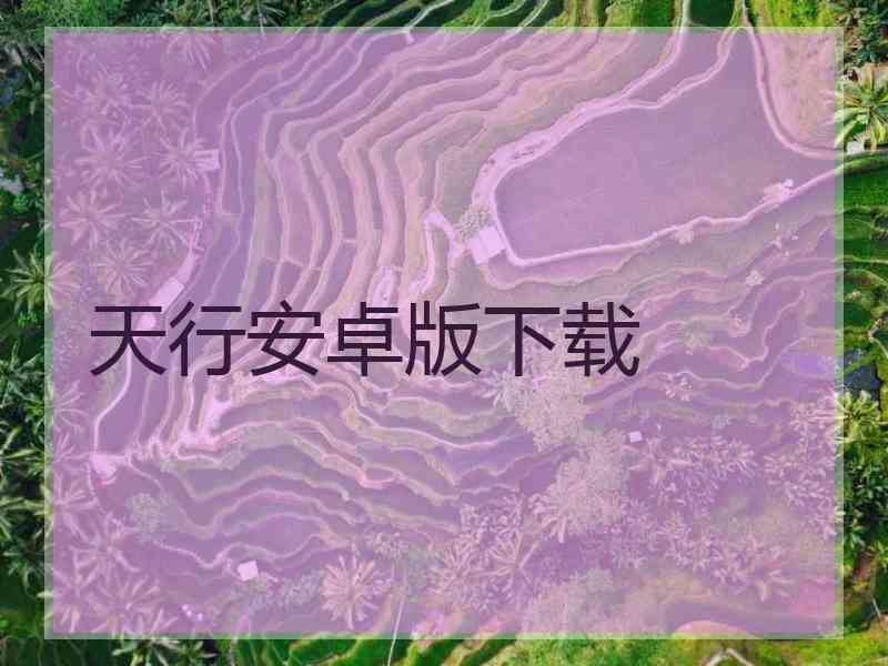 天行安卓版下载