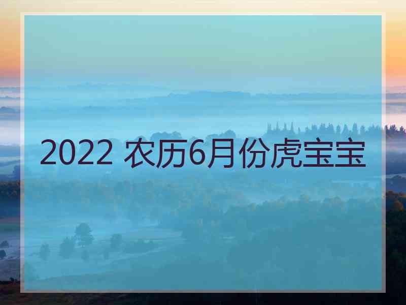 2022 农历6月份虎宝宝