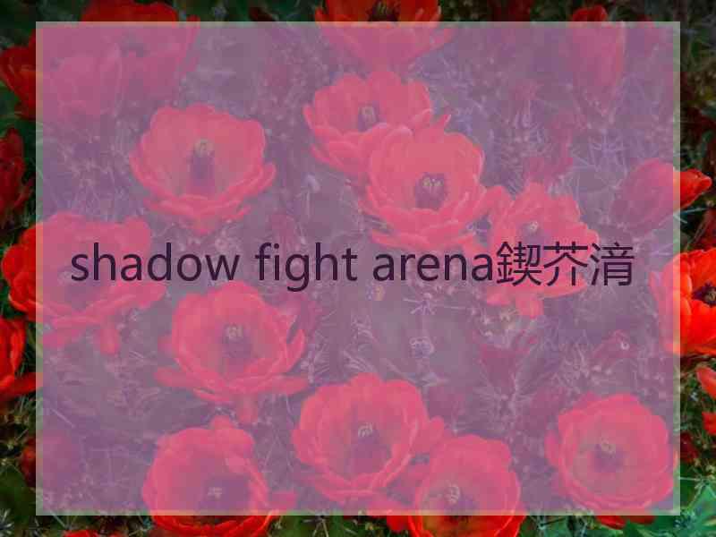 shadow fight arena鍥芥湇